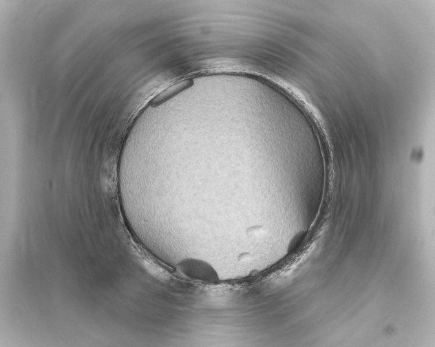 X0000093580897200711121058