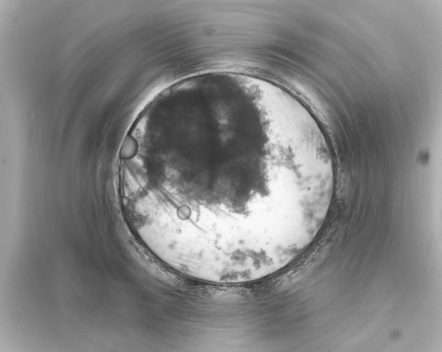 X0000093580899200711121058