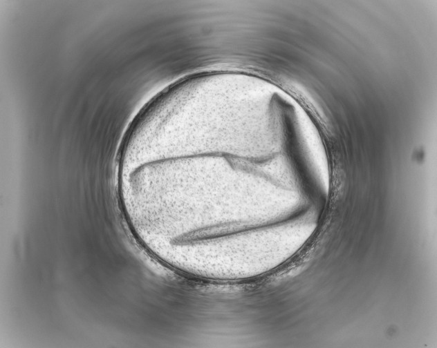 X0000093580900200711121058