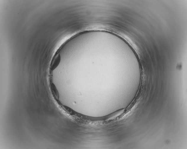 X0000093580901200711121058