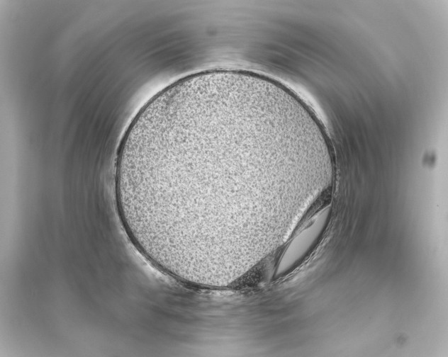 X0000093580903200711121058