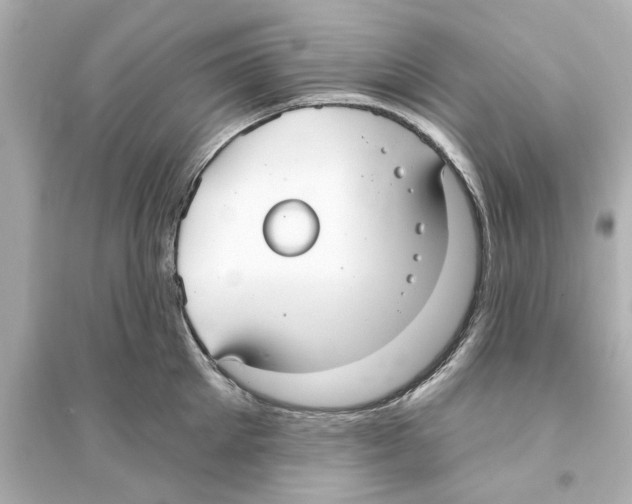 X0000093580905200711121058