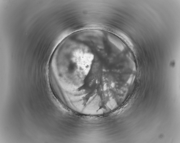 X0000093580907200711121058