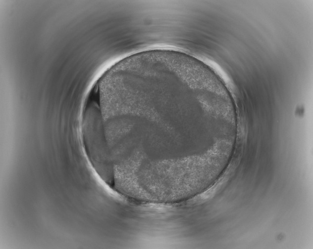 X0000093580910200711121058