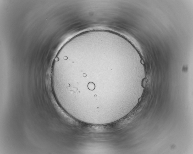 X0000093580911200711121058