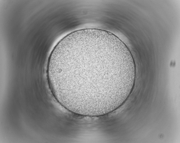 X0000093580912200711121058