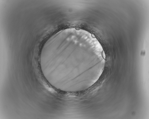 X0000093580913200711121057