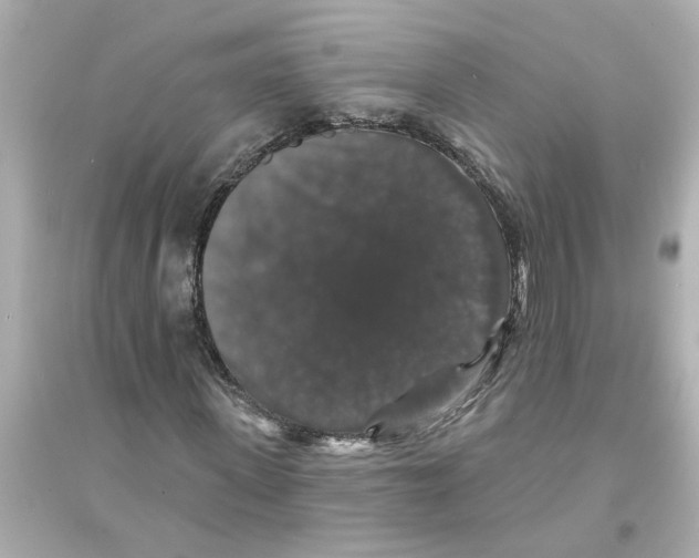 X0000093580915200711121057