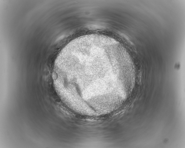 X0000093580917200711121057