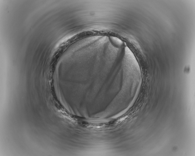 X0000093580920200711121057