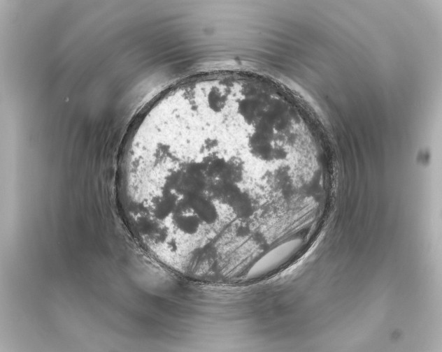 X0000093580921200711121057