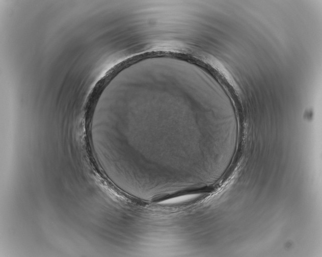 X0000093580923200711121057