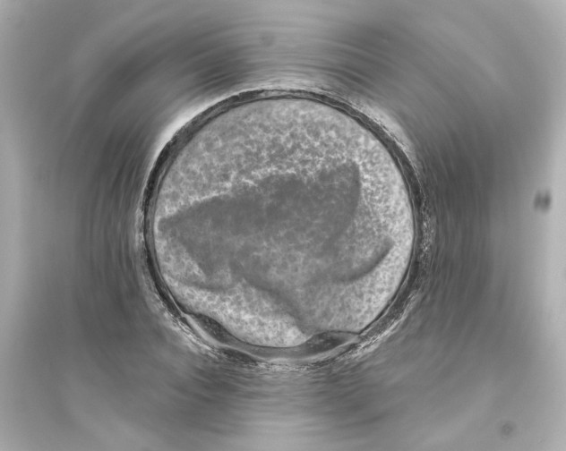 X0000093580928200711121057