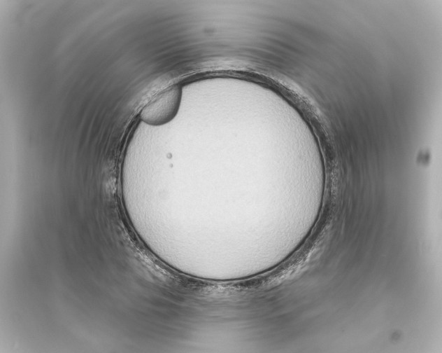 X0000093580929200711121057