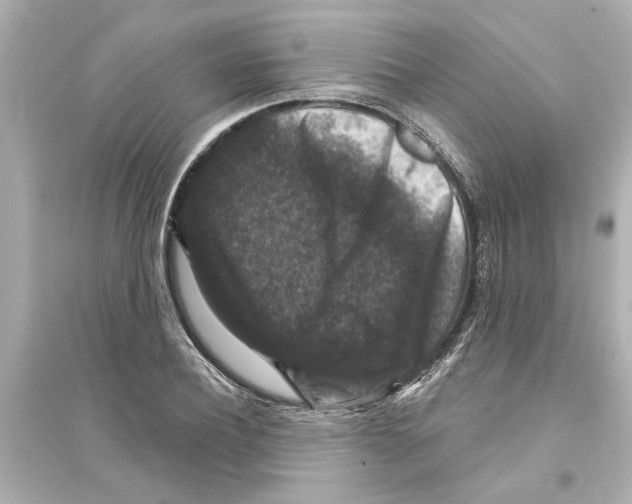 X0000093580932200711121057