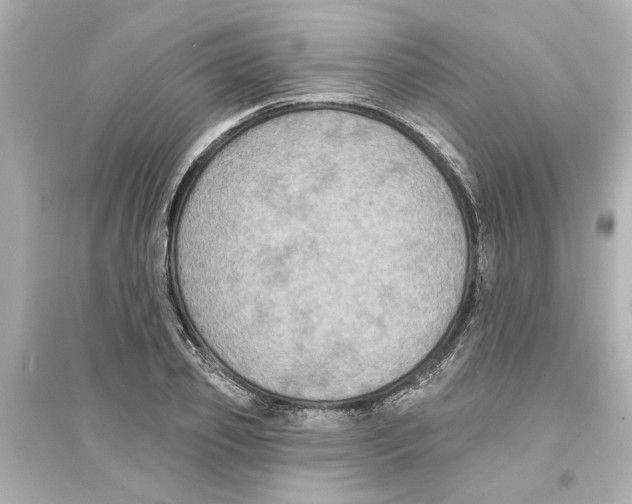 X0000093580933200711121057