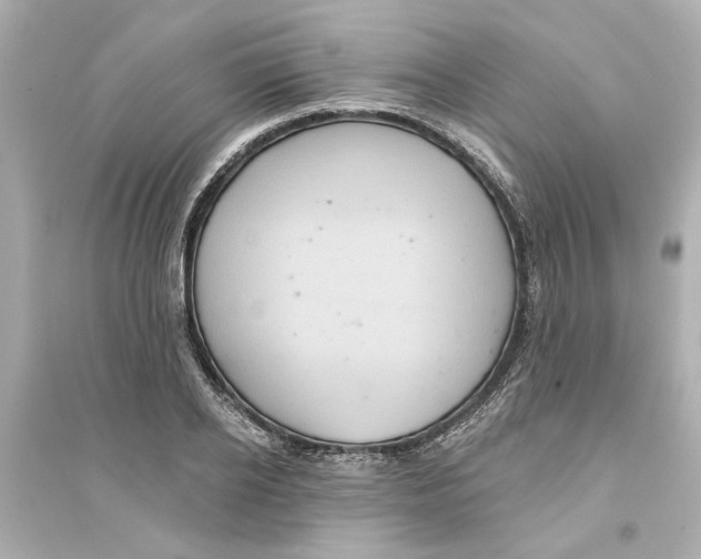 X0000093580934200711121057