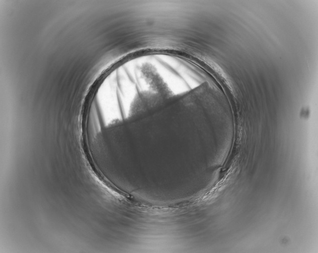 X0000093580935200711121057