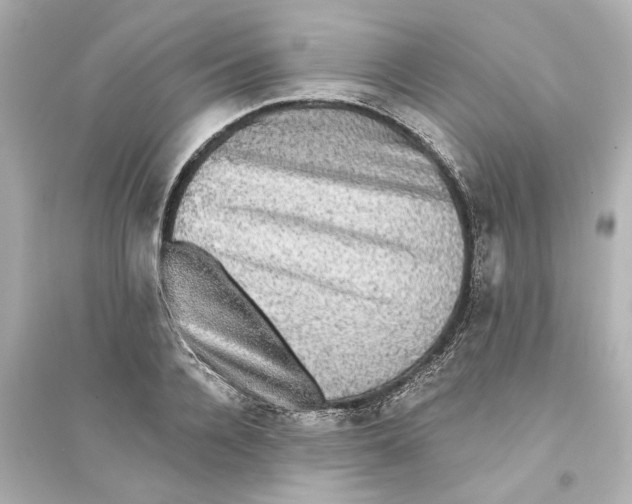 X0000093580936200711121057