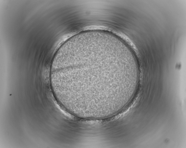 X0000093580937200711121057