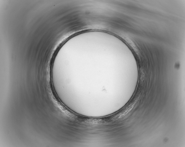 X0000093580939200711121057