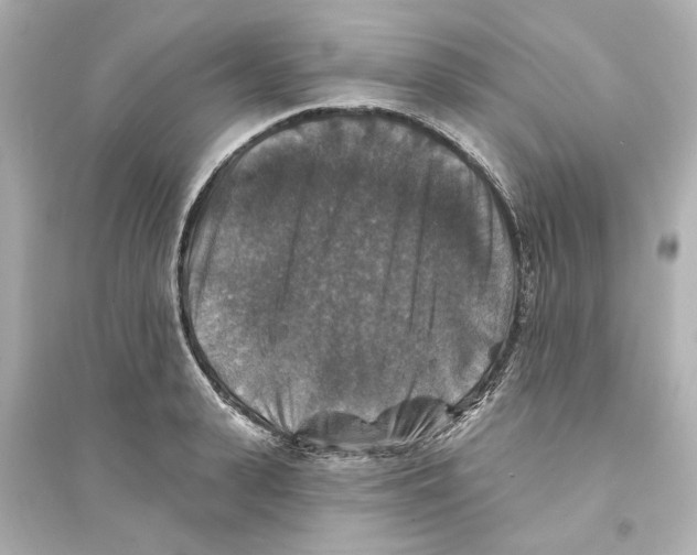 X0000093580943200711121057