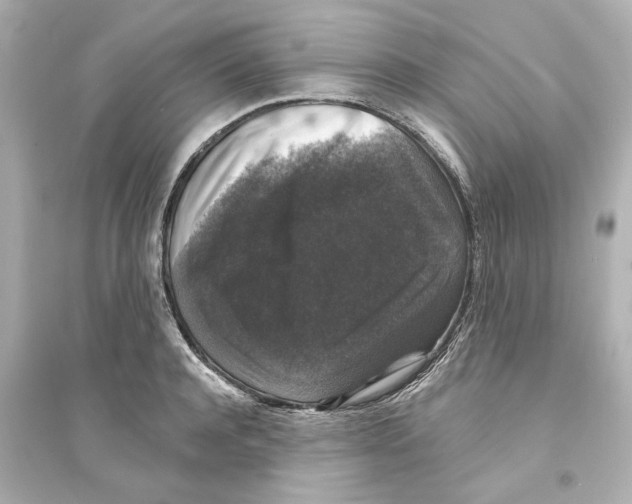 X0000093580944200711121057