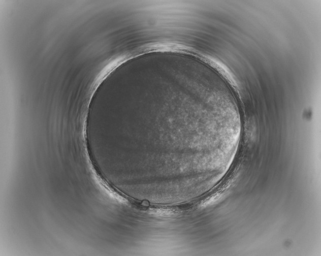 X0000093580946200711121057