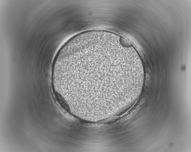 X0000093580948200711121057