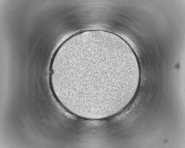 X0000093580949200711121057