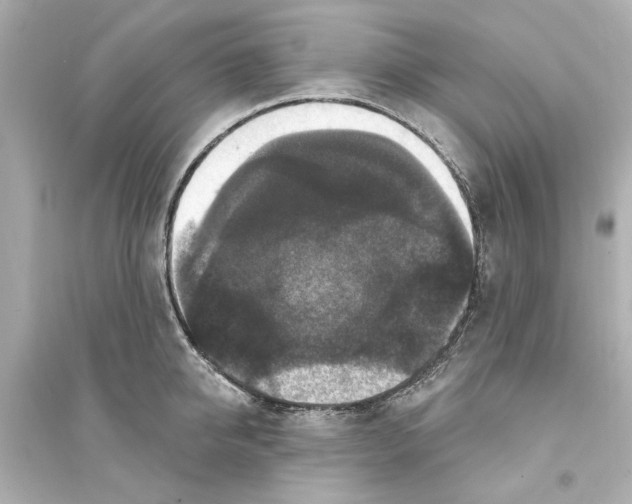 X0000093580950200711121057