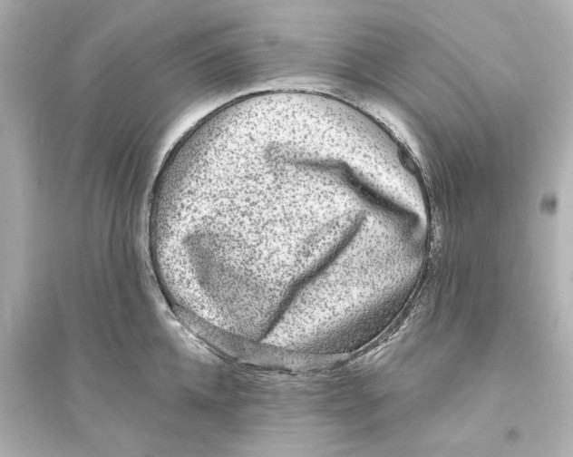 X0000093580952200711121057