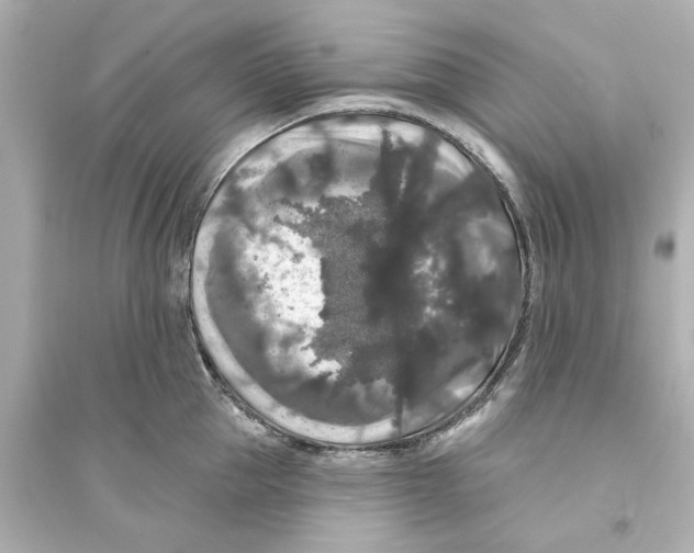 X0000093580953200711121057