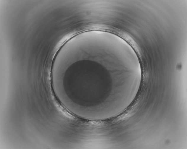 X0000093580954200711121057