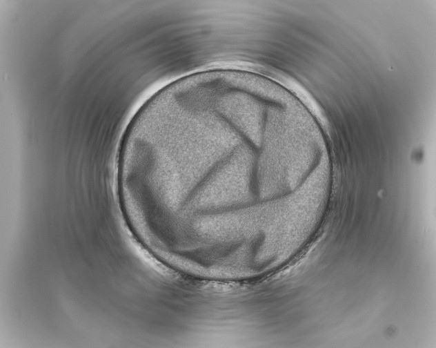 X0000093580955200711121057