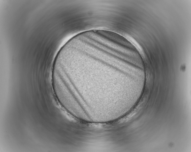 X0000093580956200711121057