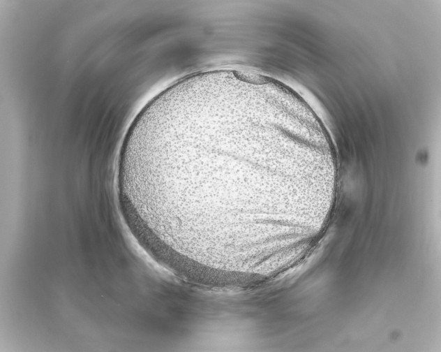 X0000093580957200711121057