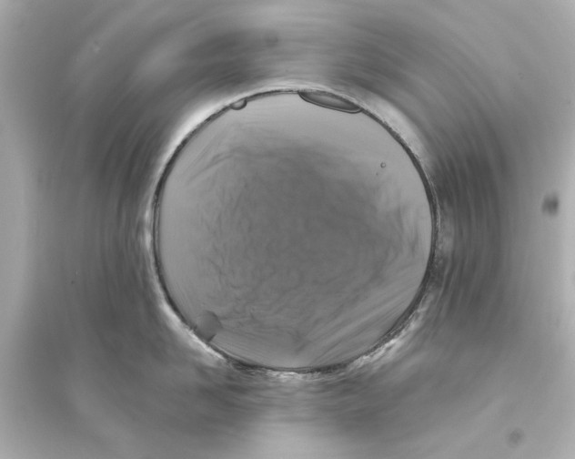 X0000093580958200711121057