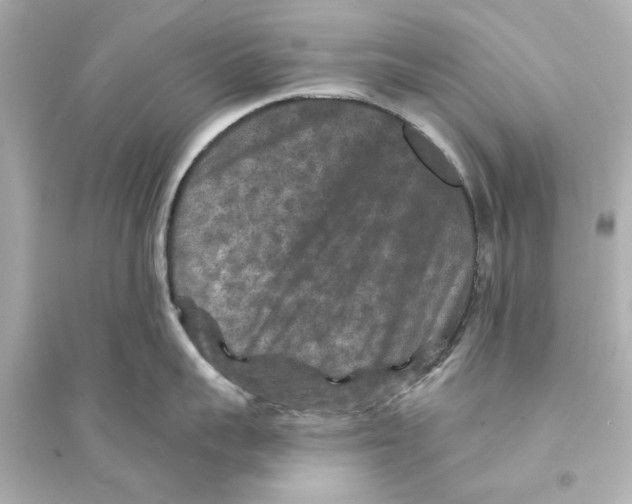 X0000093580959200711121057