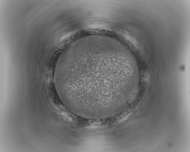 X0000093580965200711121057