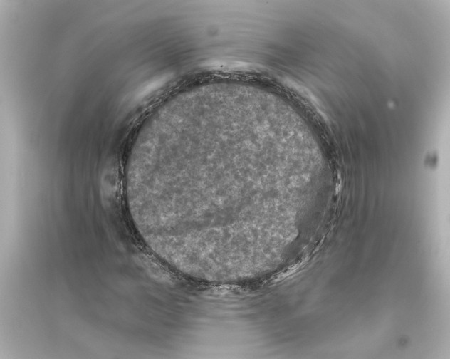 X0000093580966200711121057