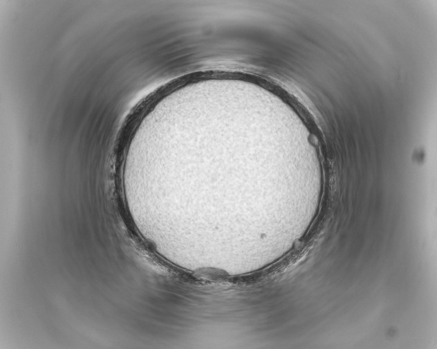 X0000093580971200711121057