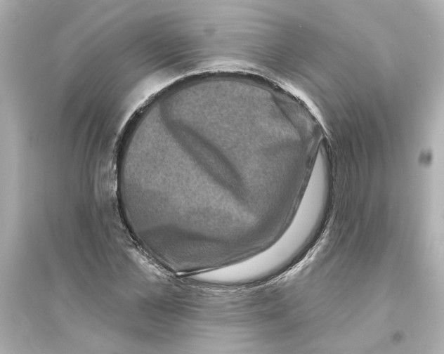 X0000093580973200711121057