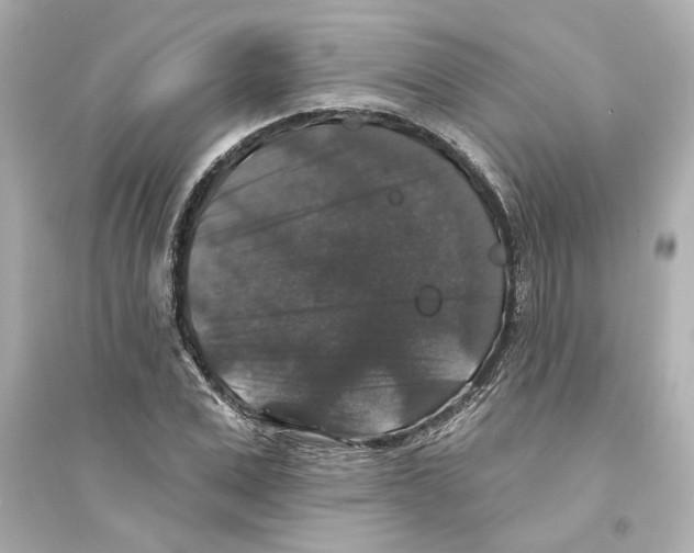 X0000093580975200711121057