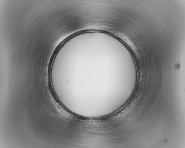 X0000093580980200711121057