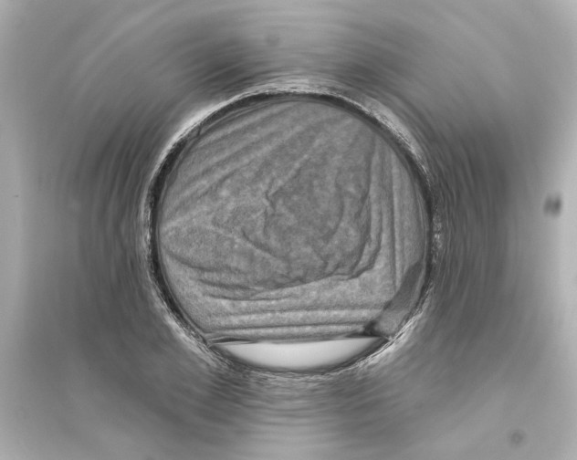 X0000093580981200711121057