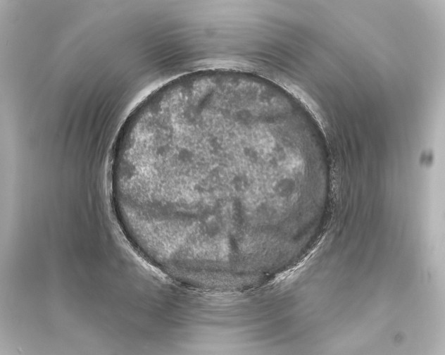 X0000093580983200711121057