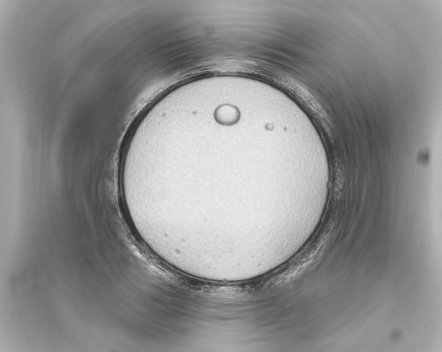 X0000093580986200711121056