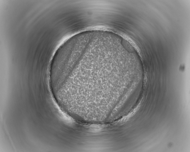 X0000093580989200711121056