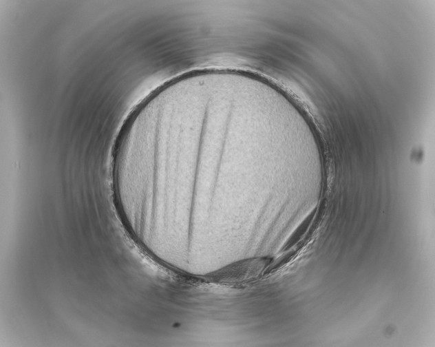 X0000093580990200711121056